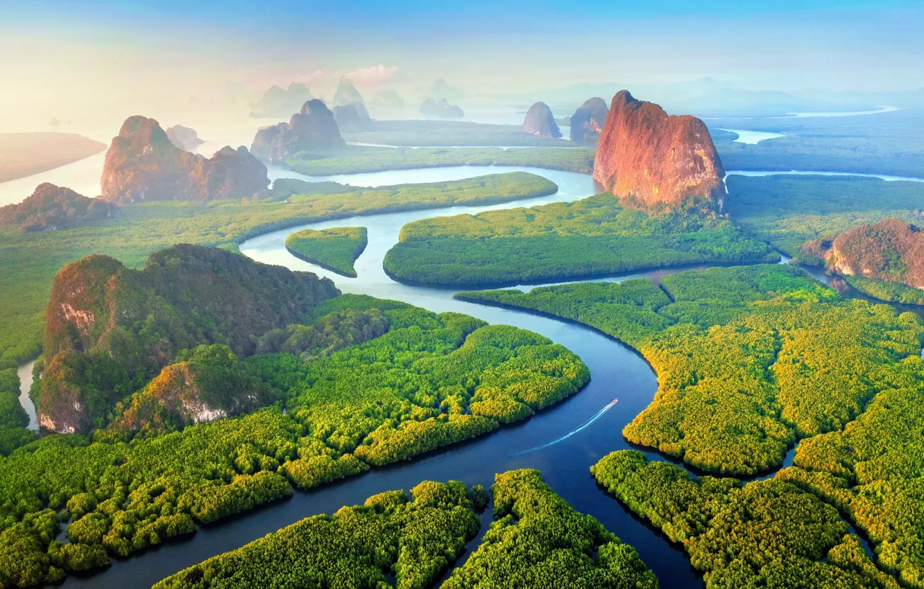 Photo wallpaper forest, river, beauty, jungle, space, forests, rivers, beauty