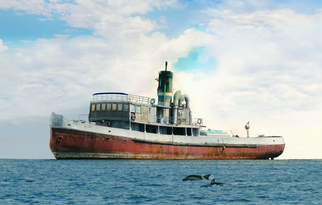 Photo wallpaper retro, seagulls, tug, dolphins, SP-10, steam