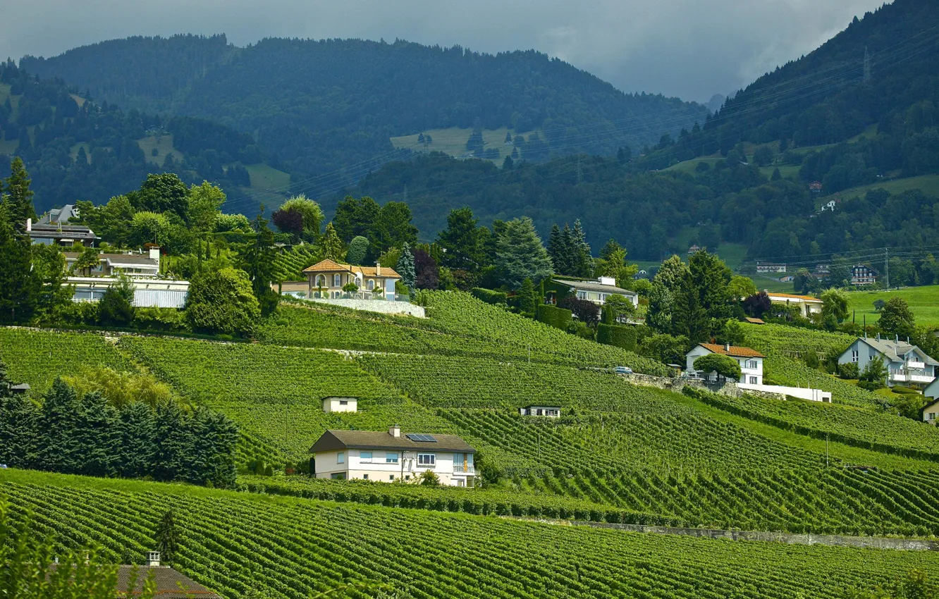 Photo wallpaper Mountains, Switzerland, Field, Landscape, Landscape, Switzerland, Mountains, Fields