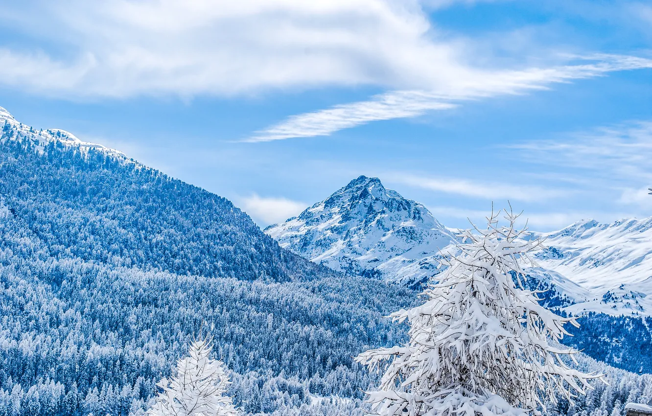 Photo wallpaper winter, frost, forest, the sky, clouds, snow, trees, mountains