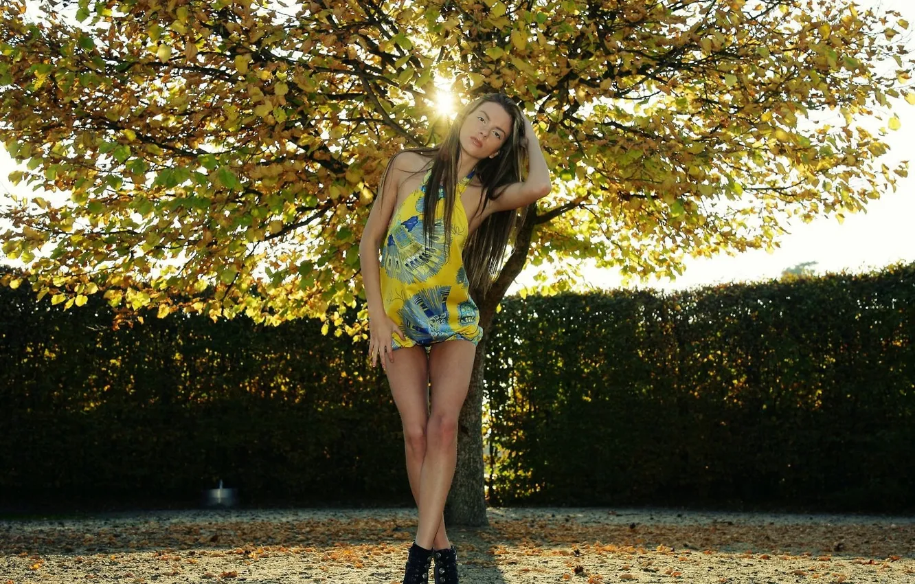 Photo wallpaper trees, model, slim, leaves