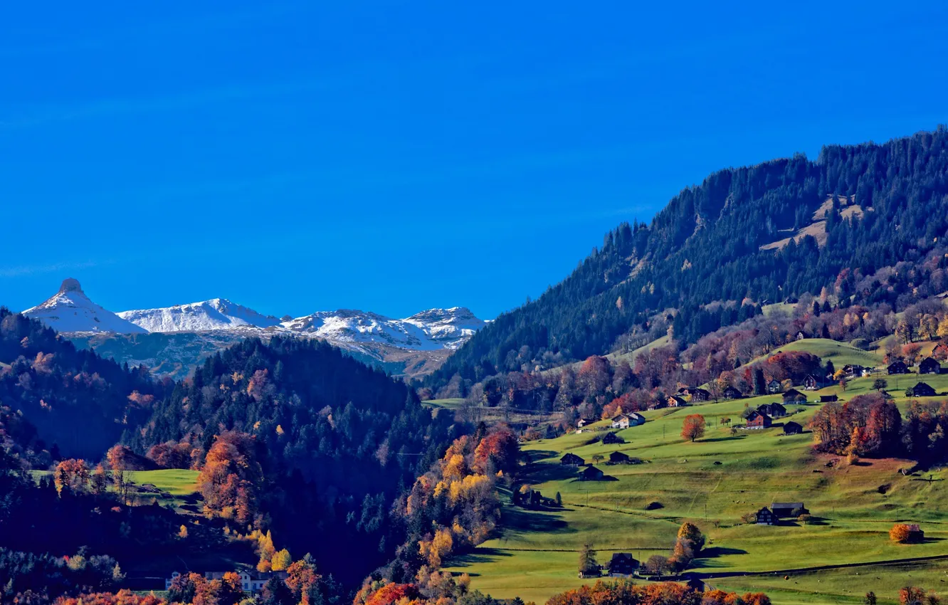 Photo wallpaper autumn, grass, trees, mountains, home, Switzerland, valley