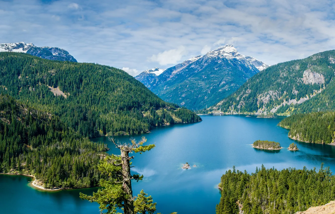 Photo wallpaper forest, trees, mountains, lake, USA, Diablo Lake