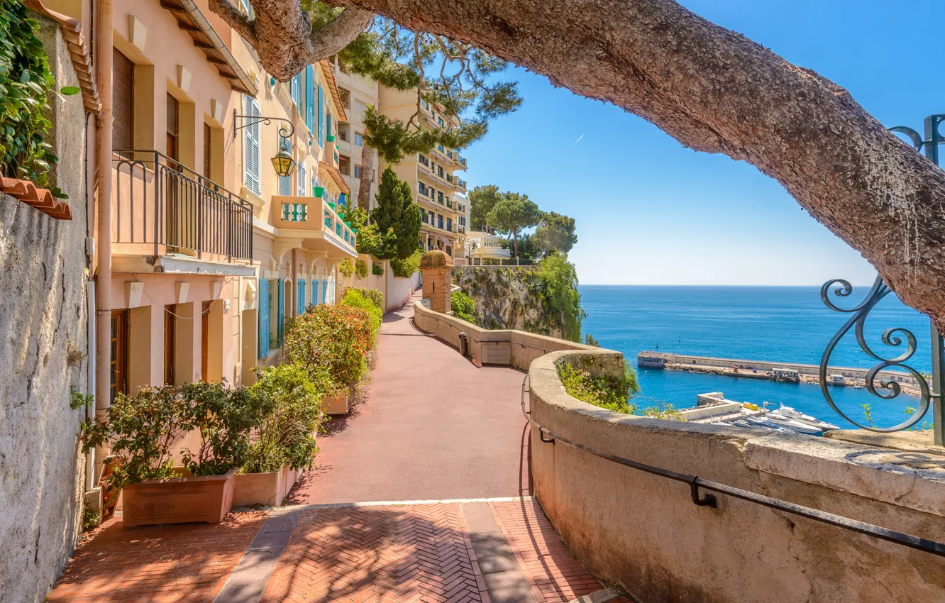Photo wallpaper sea, the city, street, home, pier, Monaco