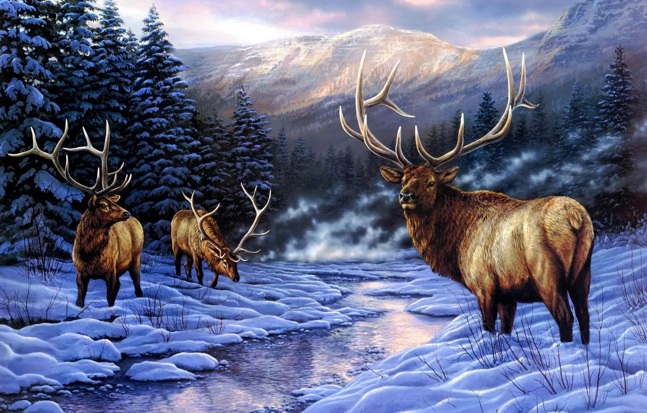 Photo wallpaper winter, Item, Deers
