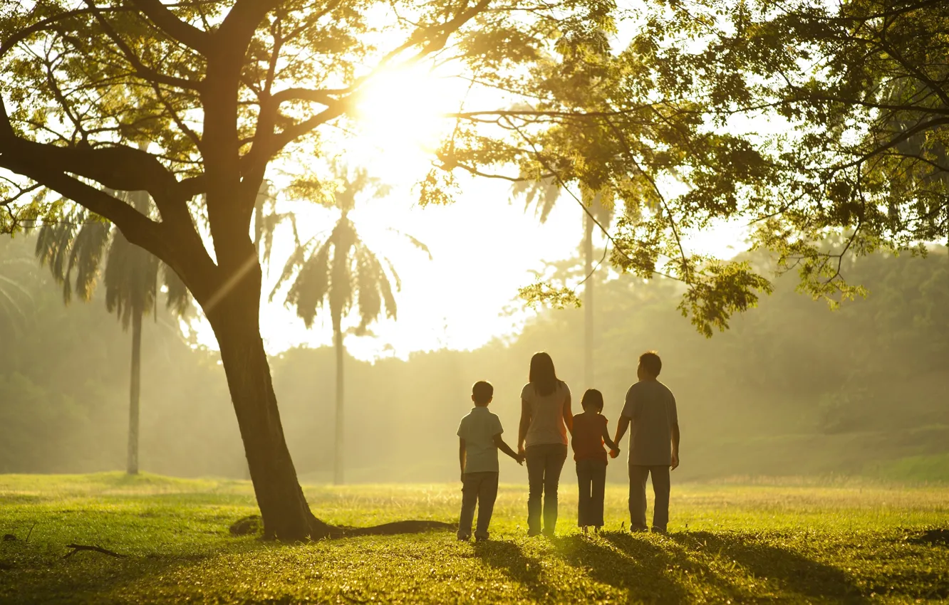Photo wallpaper greens, grass, leaves, trees, children, background, mood, widescreen