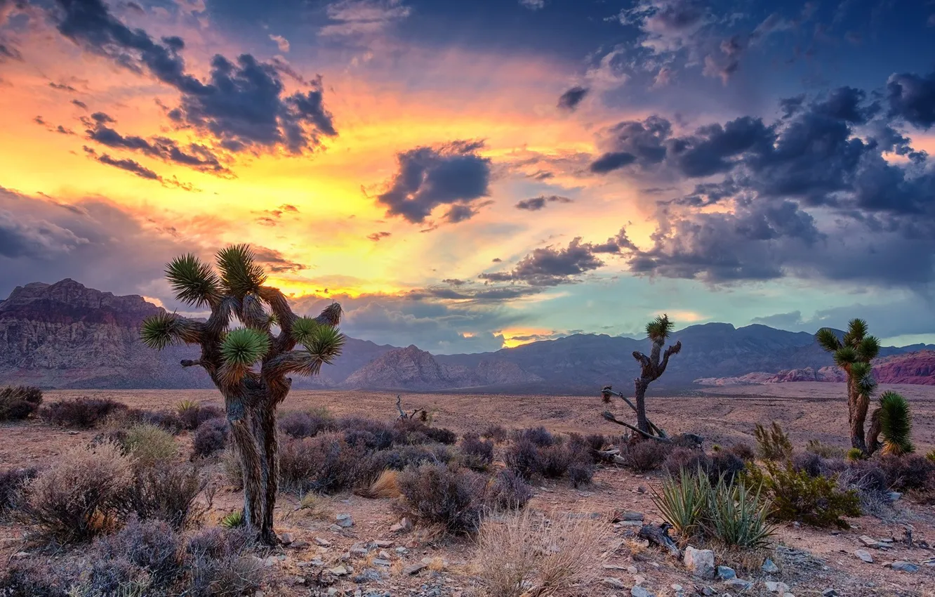 Photo wallpaper USA, sky, desert, landscape, nature, sunset, mountains, clouds