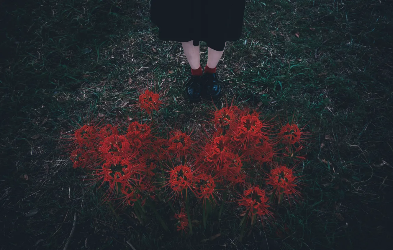 Photo wallpaper grass, flowers, feet