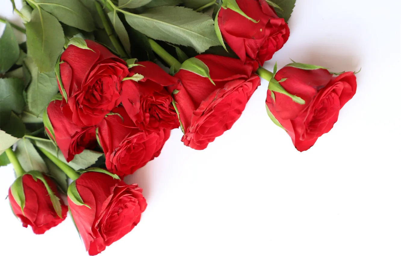 Photo wallpaper love, flowers, roses, bouquet, red, red, wood, flowers