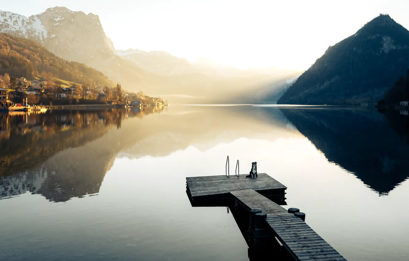Photo wallpaper lake, dog, The Salzkammergut, Austria