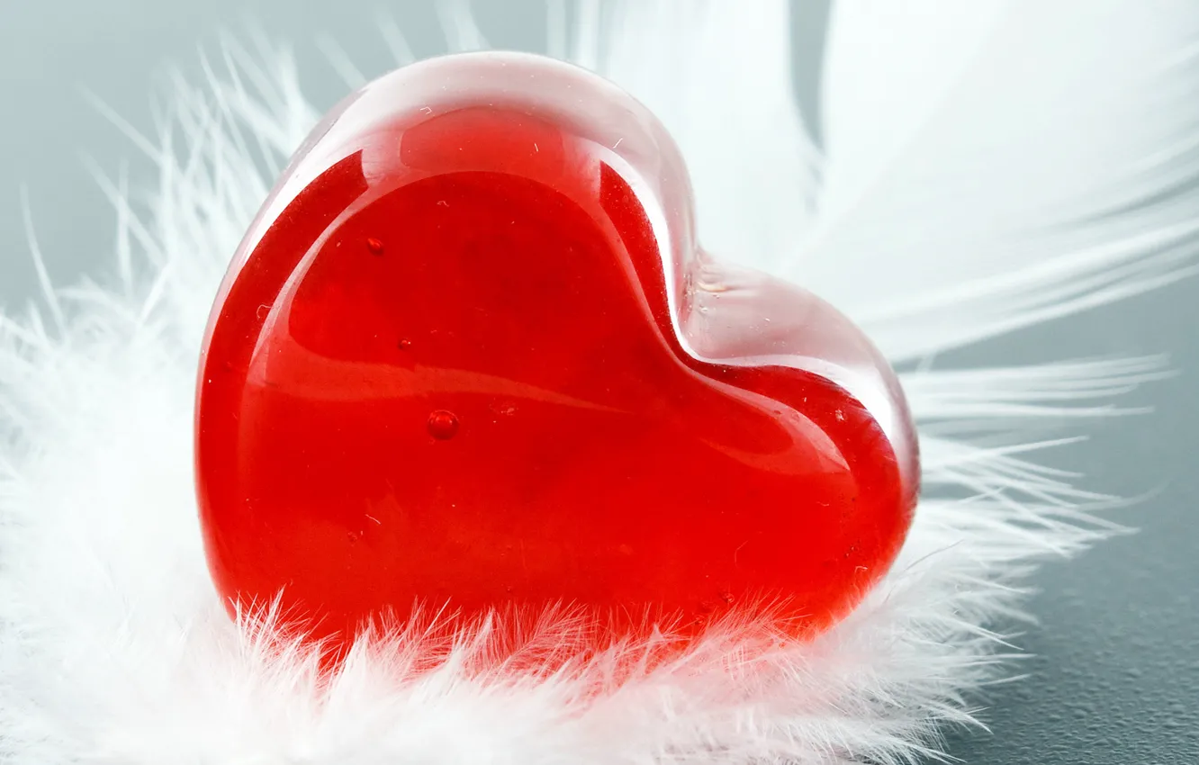 Photo wallpaper white, red, hearts, a feather