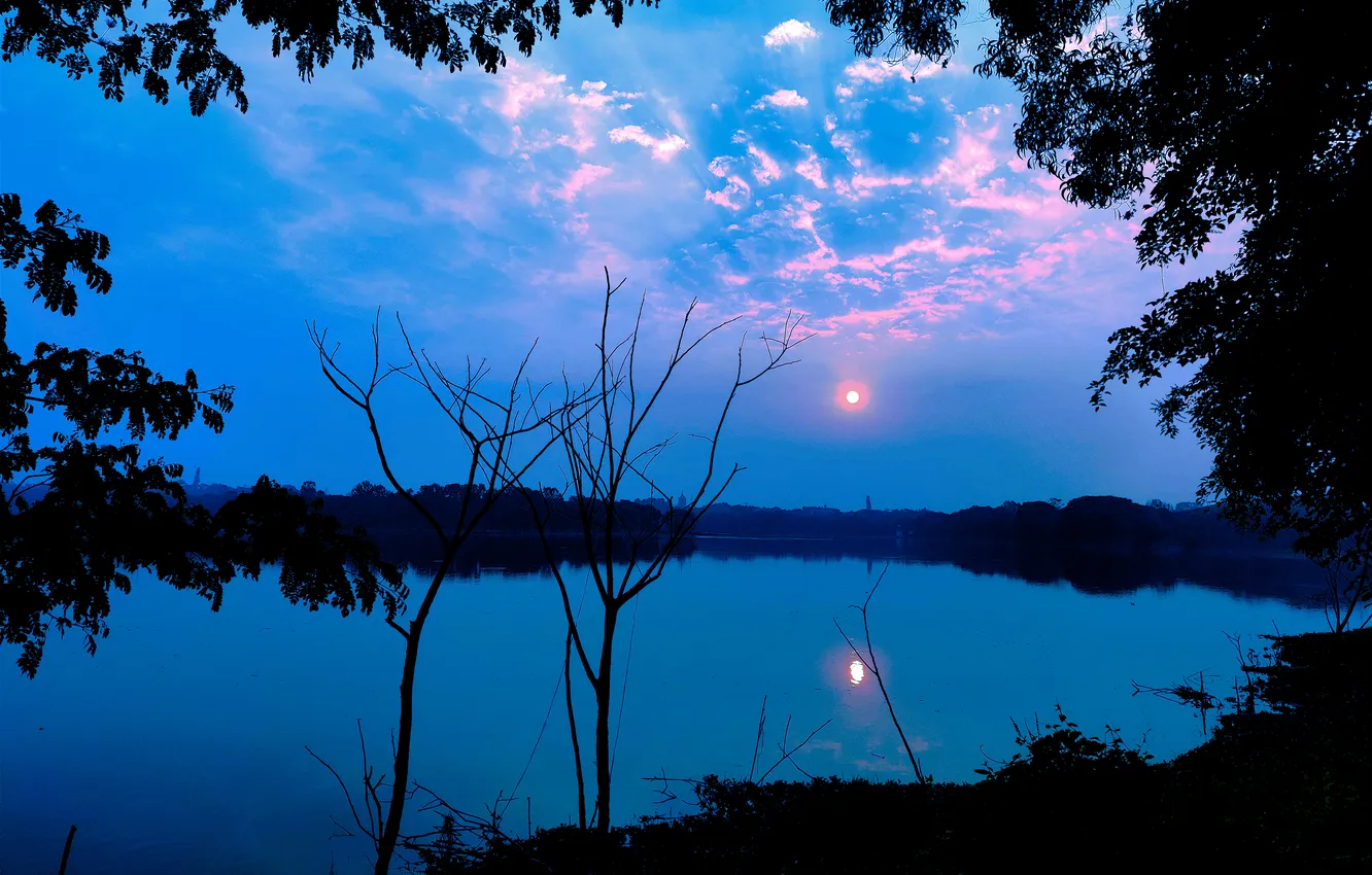 Photo wallpaper trees, water, lake, morning, sun, sunrise, dawn, woods