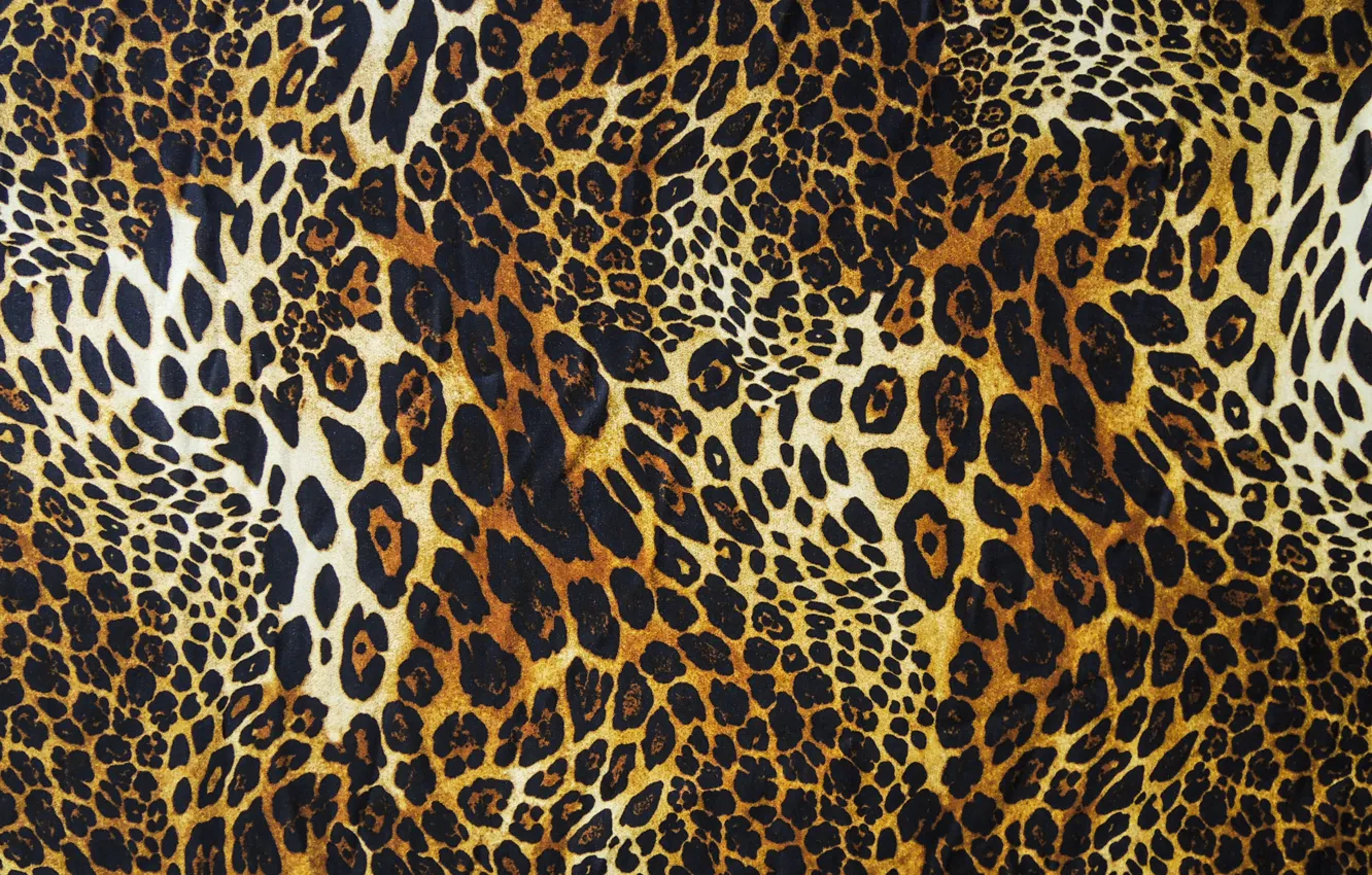 Photo wallpaper wool, leopard, skin, fur, texture