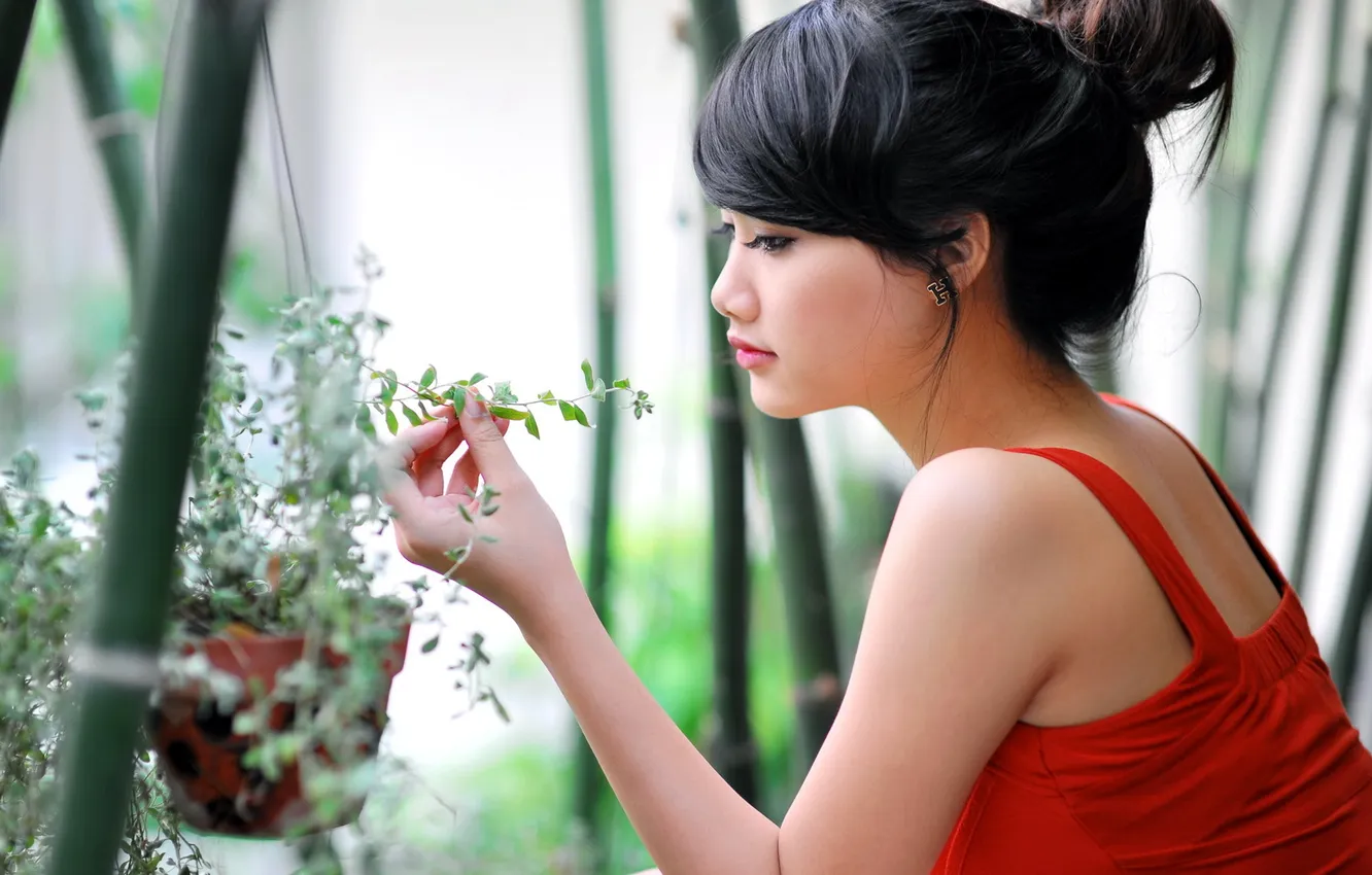 Photo wallpaper girl, flowers, portrait