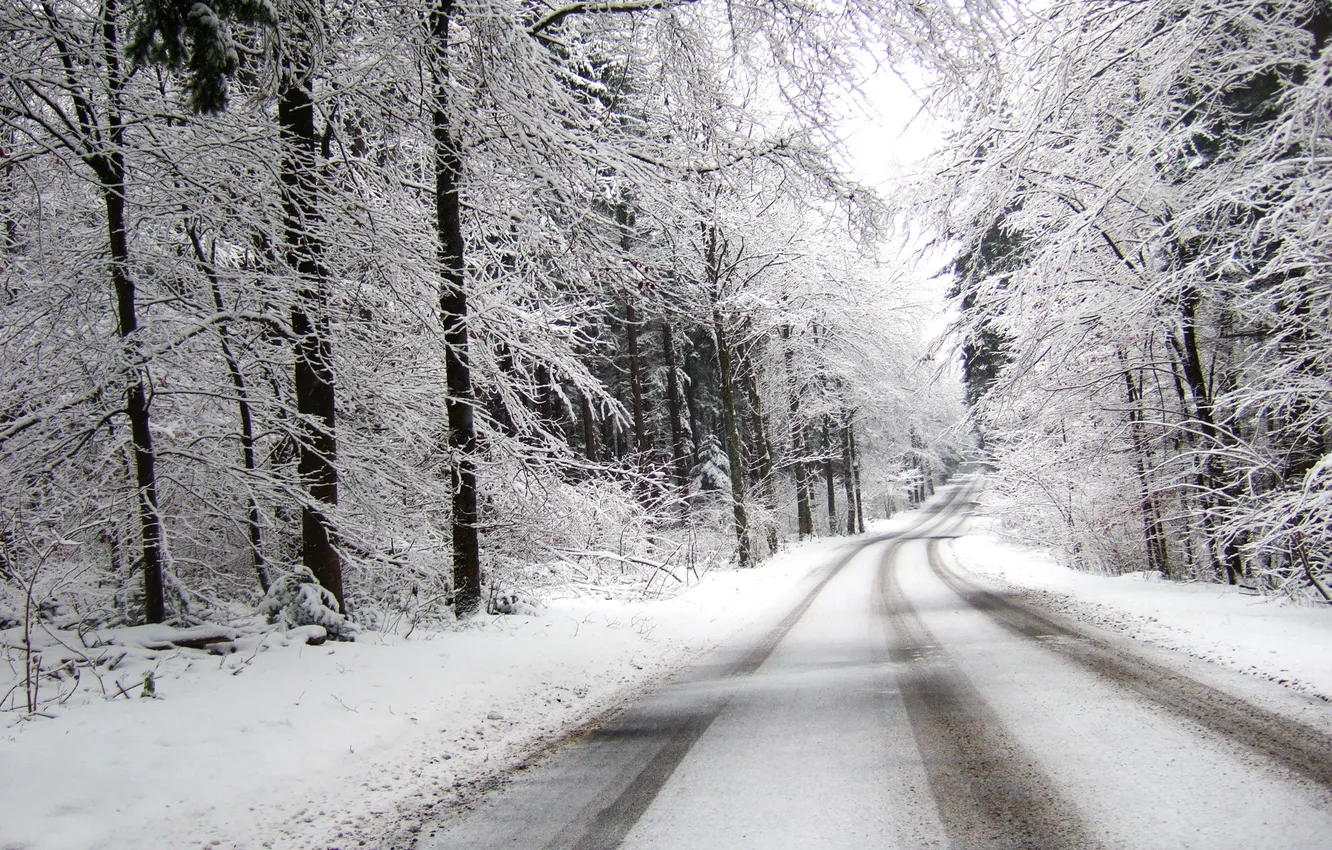 Photo wallpaper winter, road, forest, snow, overcast, turn, the distance