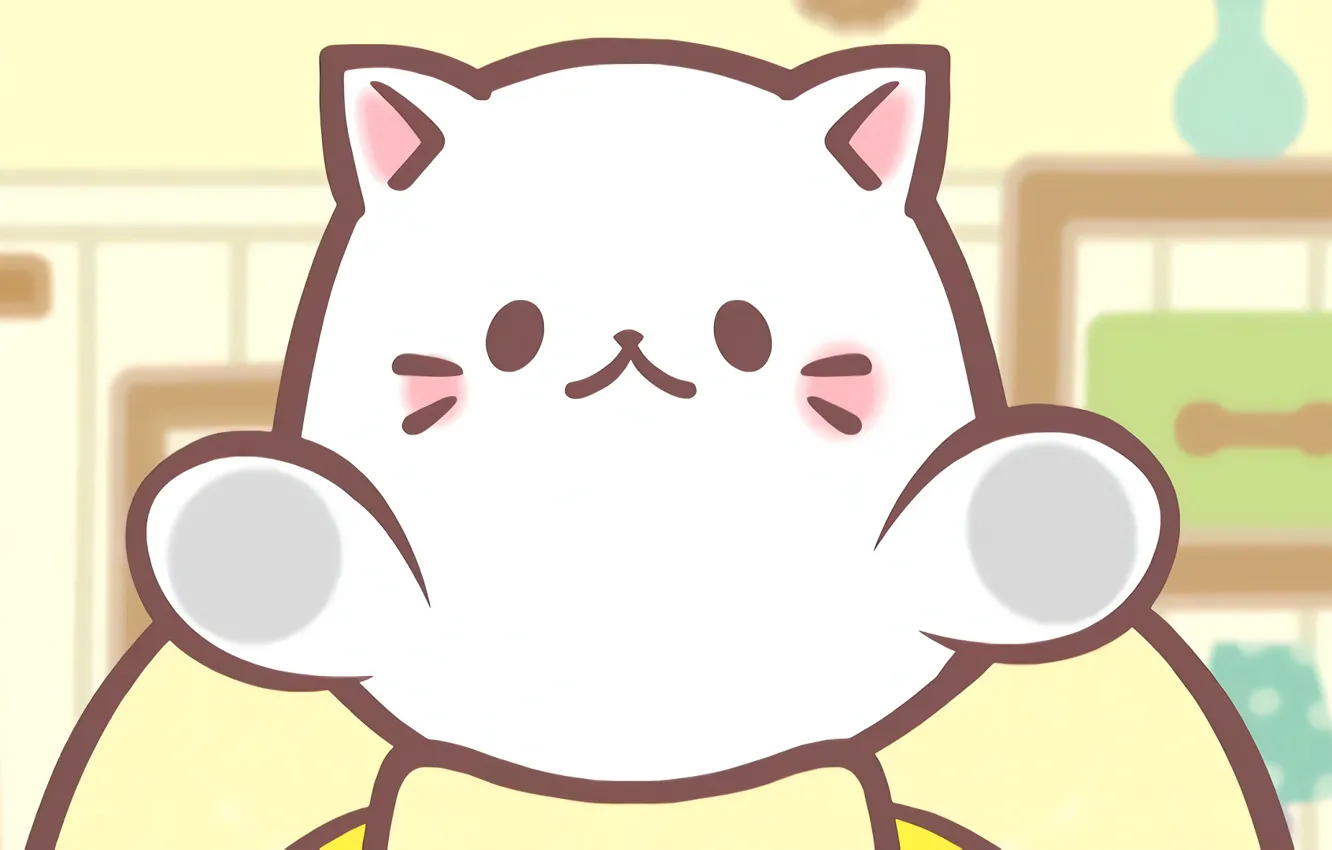 Photo wallpaper cat, kitty, kitty