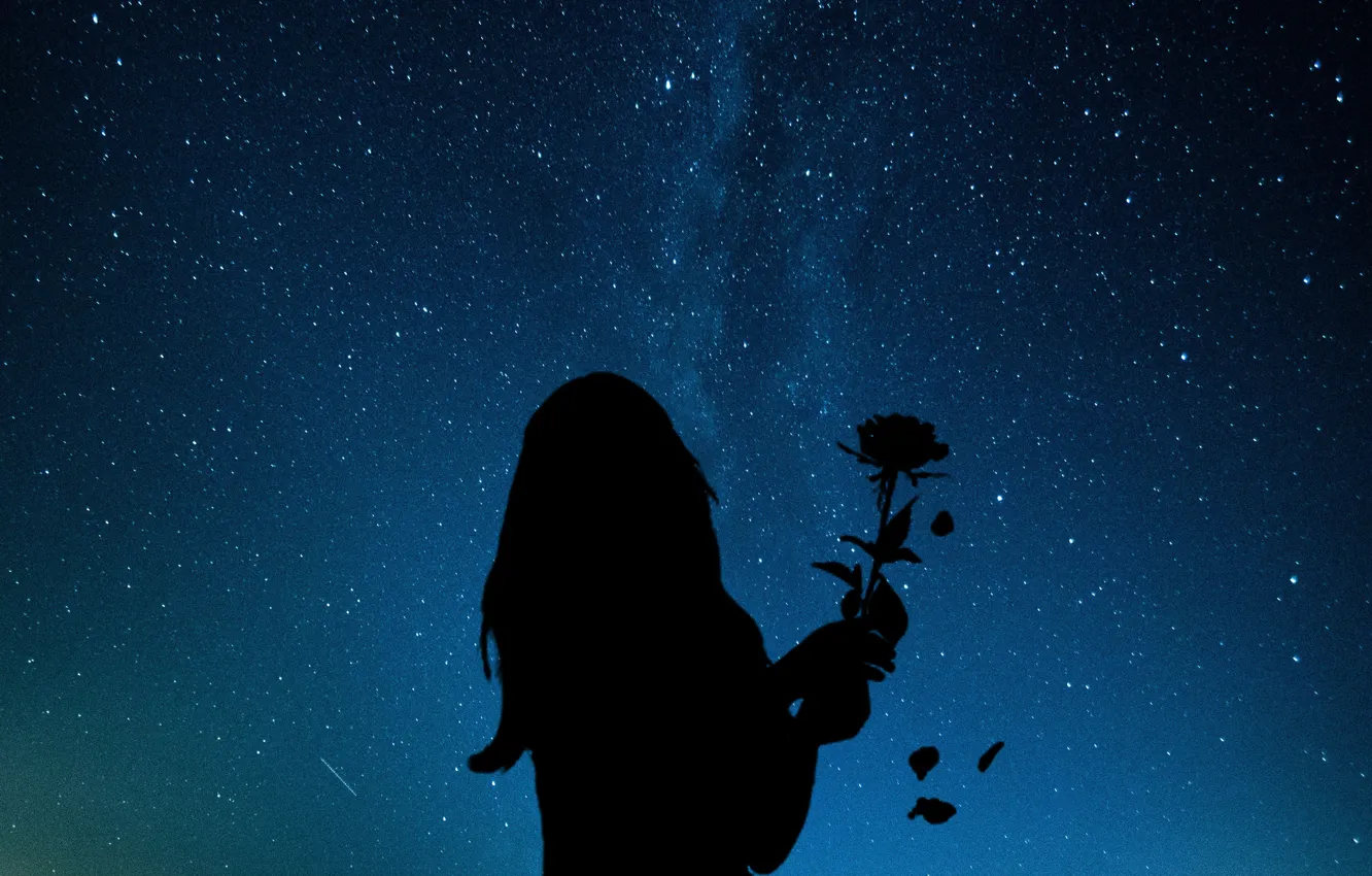 Photo wallpaper star, night, silhouette