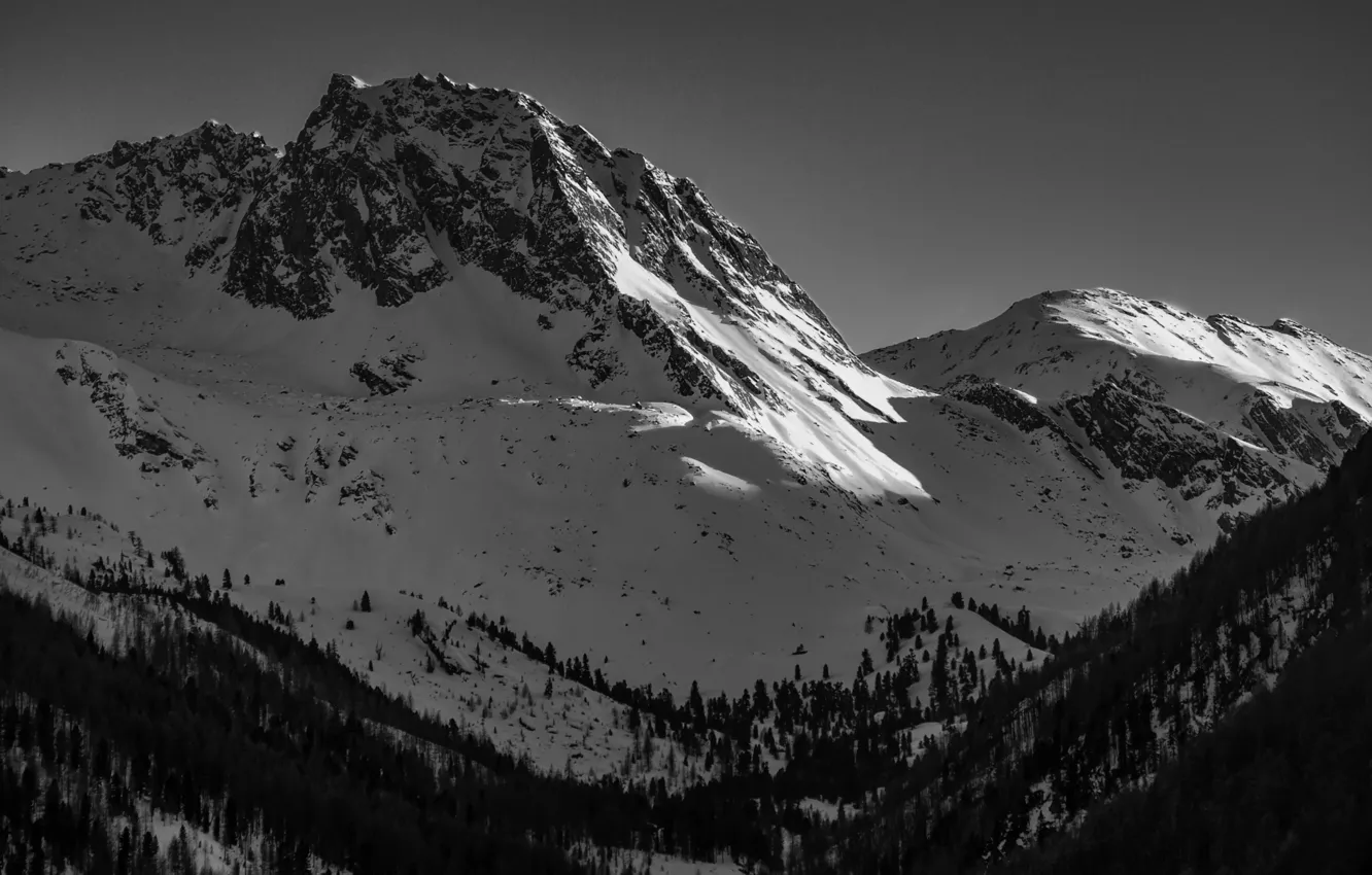 Photo wallpaper winter, the sky, snow, trees, mountains, nature, rocks, black and white