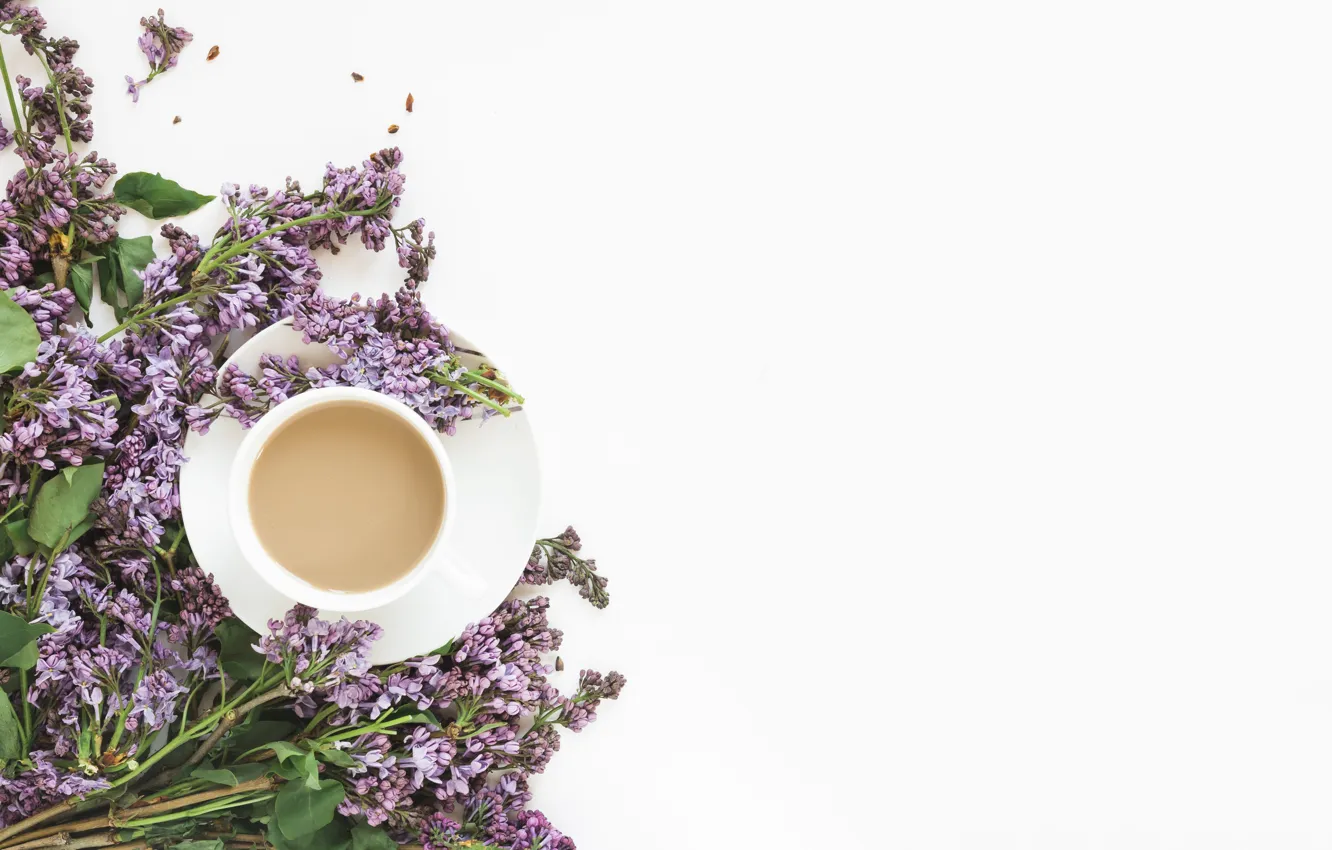 Photo wallpaper white, flowers, background, Cup, lilac, composition