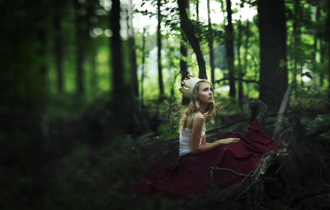 Photo wallpaper forest, girl, mood