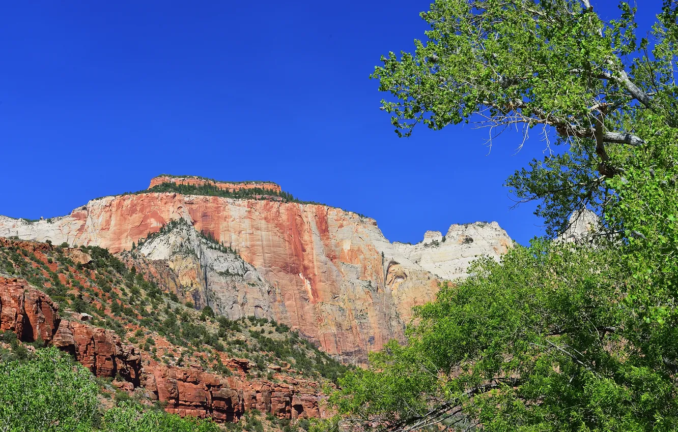 Photo wallpaper the sky, trees, landscape, mountains, rocks, slope