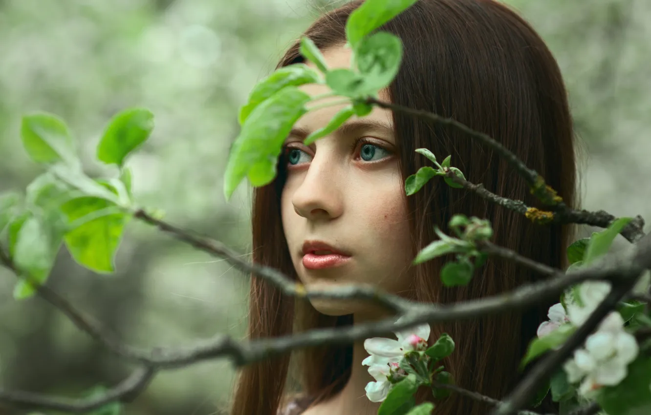 Photo wallpaper portrait, spring, green-eyed, Spring breeze