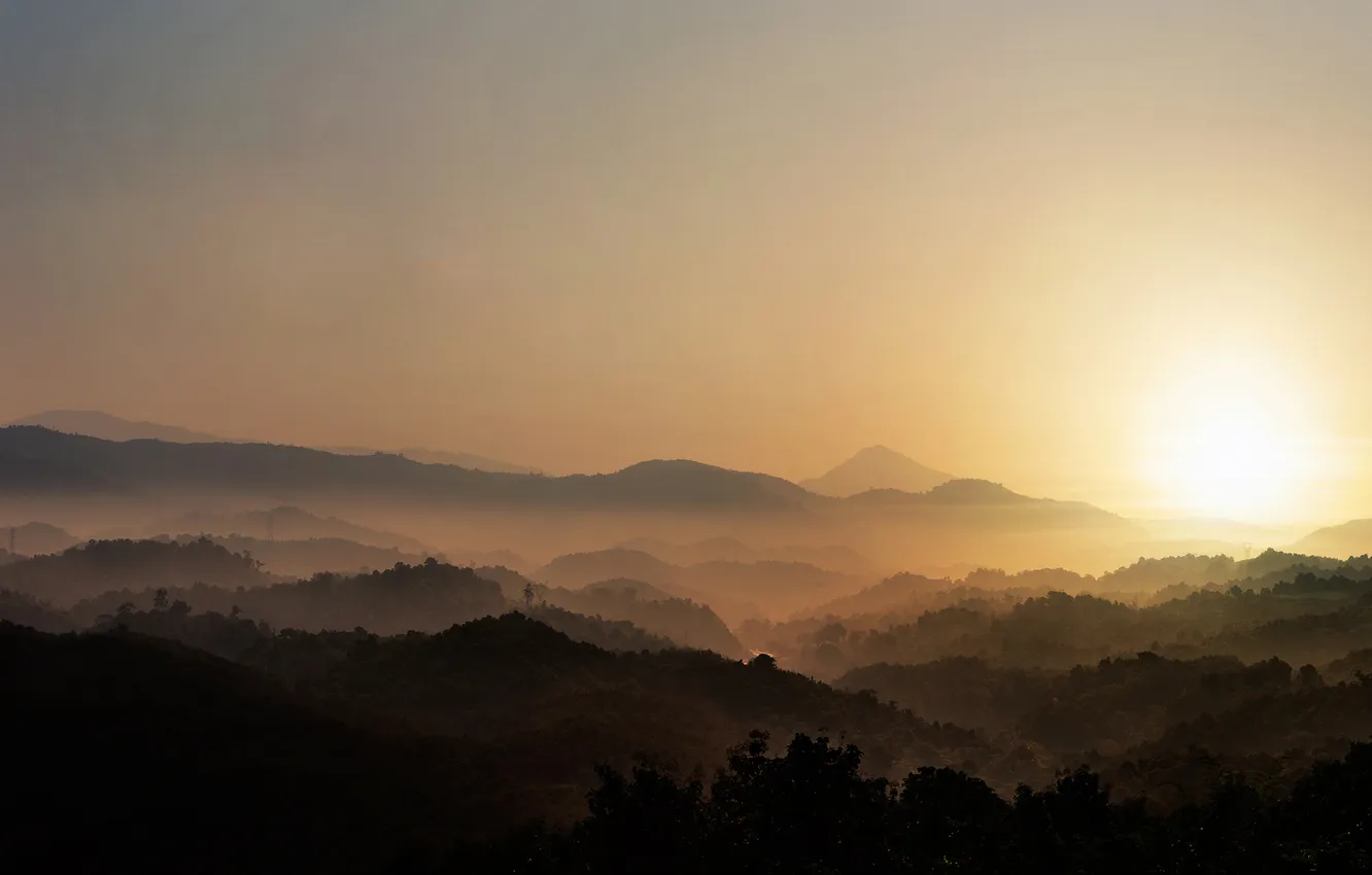 Photo wallpaper forest, the sun, trees, sunset, hills