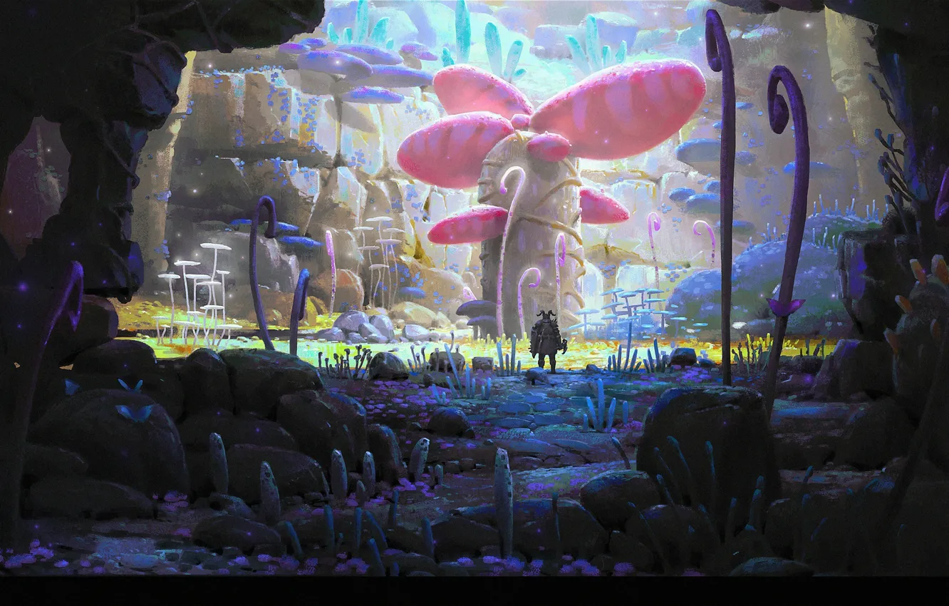 Photo wallpaper stones, rocks, mushrooms, plant, Explorer