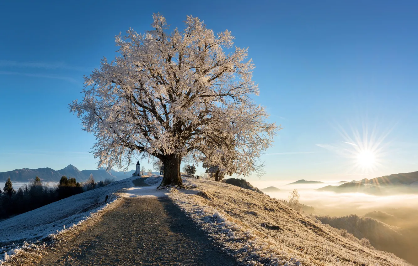 Photo wallpaper winter, frost, the sun, light, mountains, tree, Church