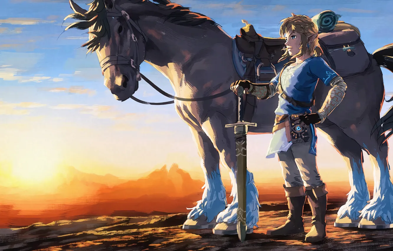 Photo wallpaper Nintendo, Game, Link, The Legend Of Zelda: Breath Of The Wild