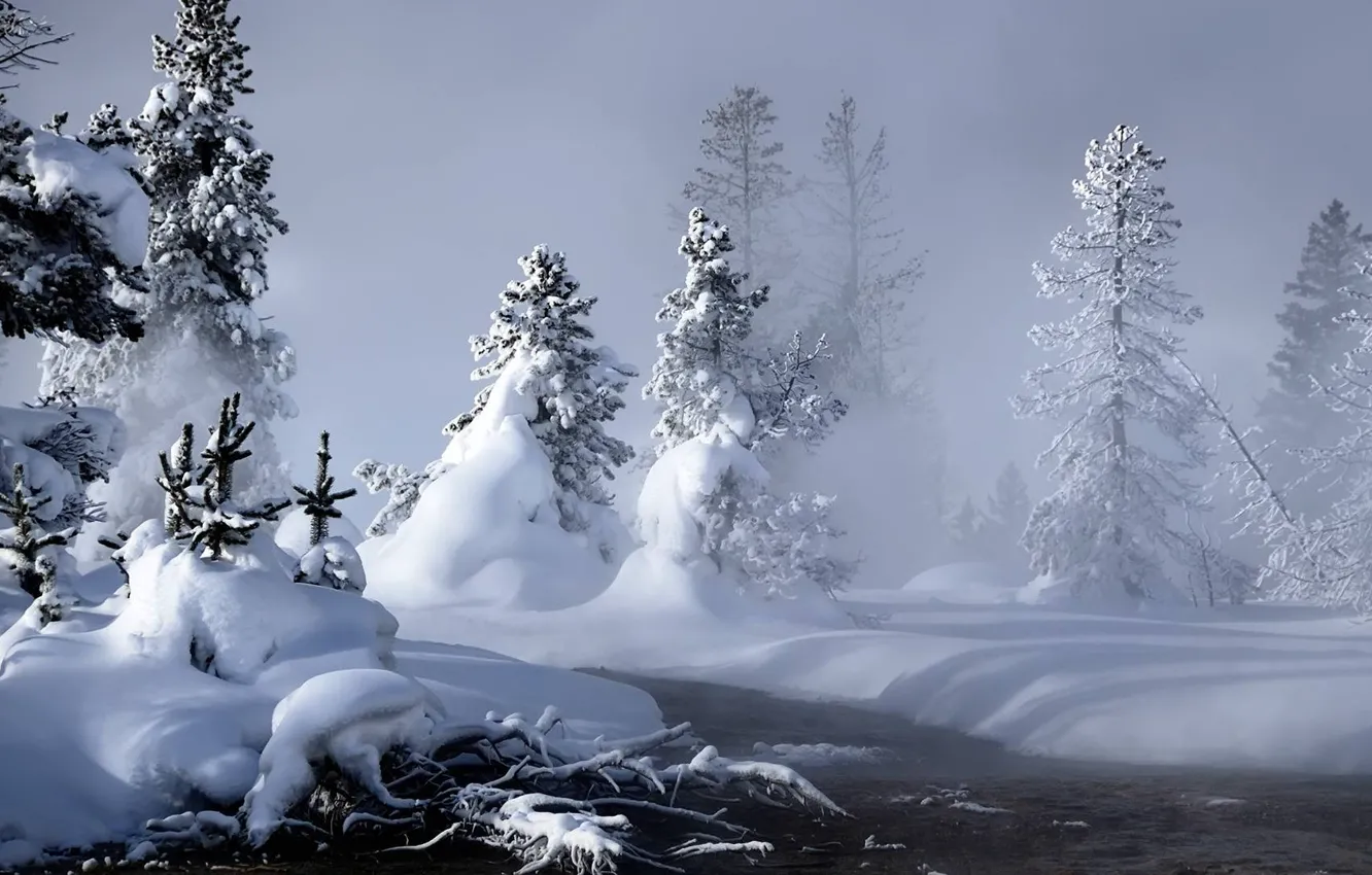 Photo wallpaper winter, snow, landscape