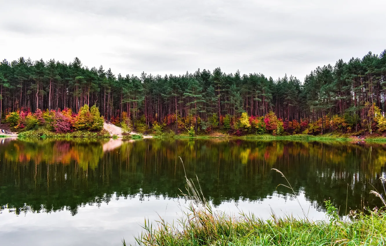 Photo wallpaper autumn, trees, lake
