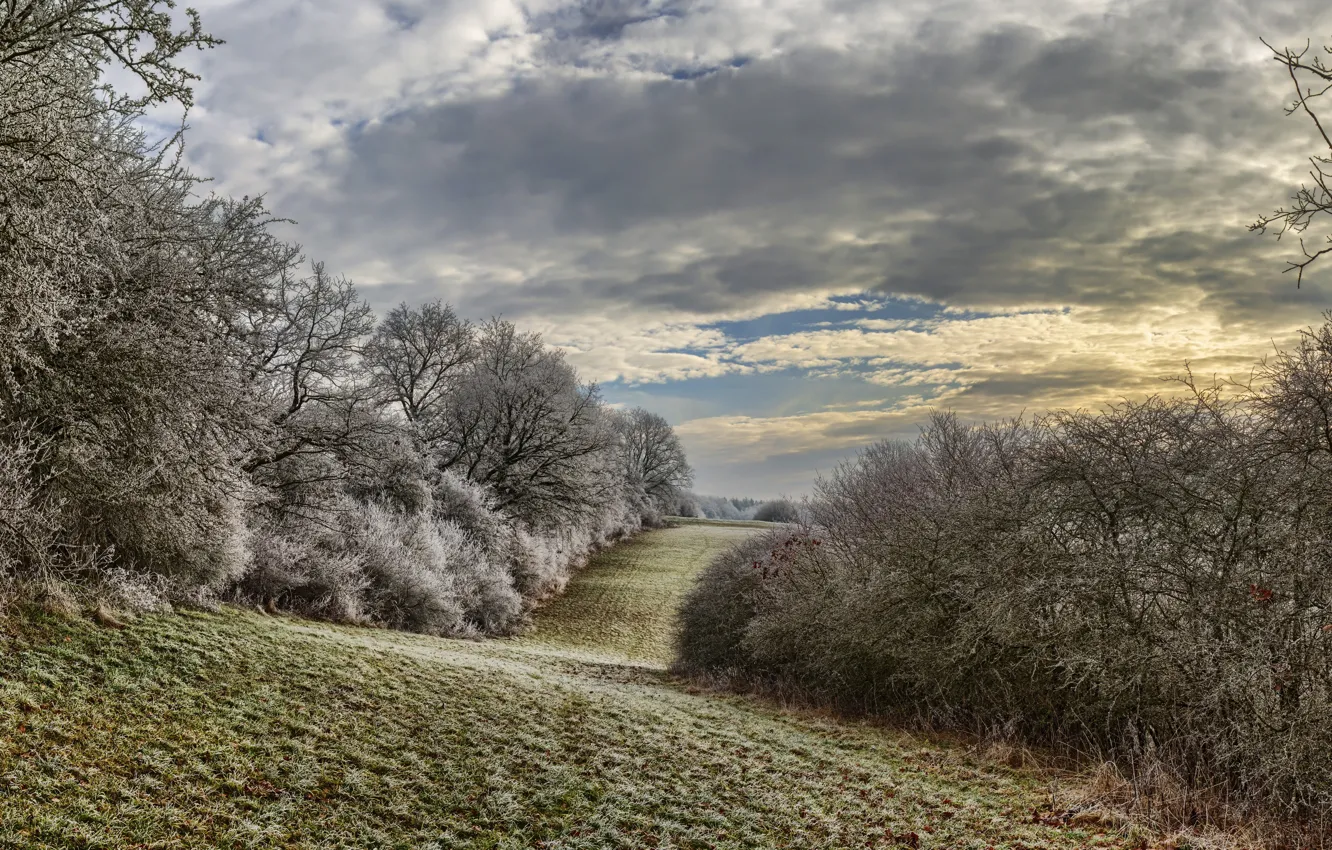 Photo wallpaper frost, field, nature