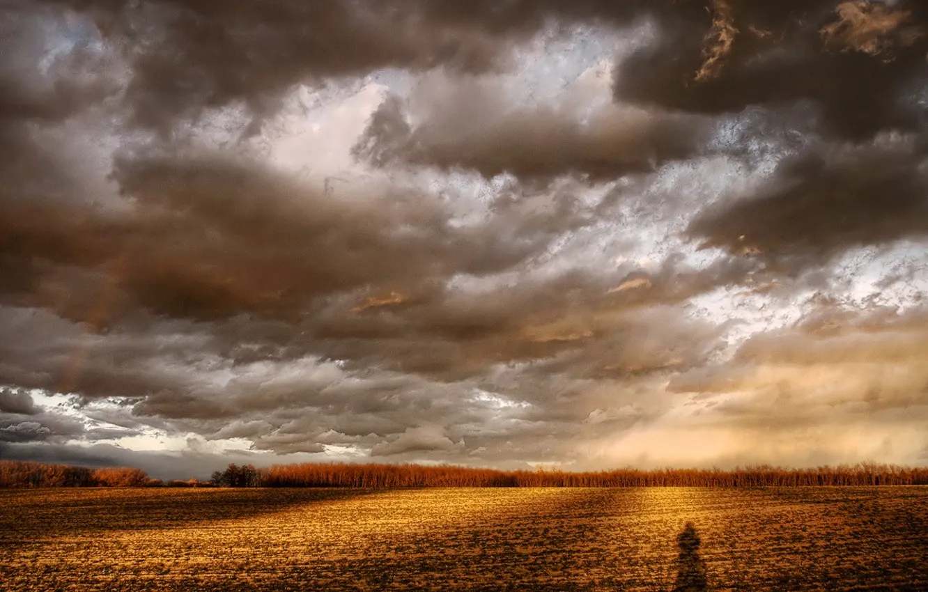 Photo wallpaper clouds, Field, shadow