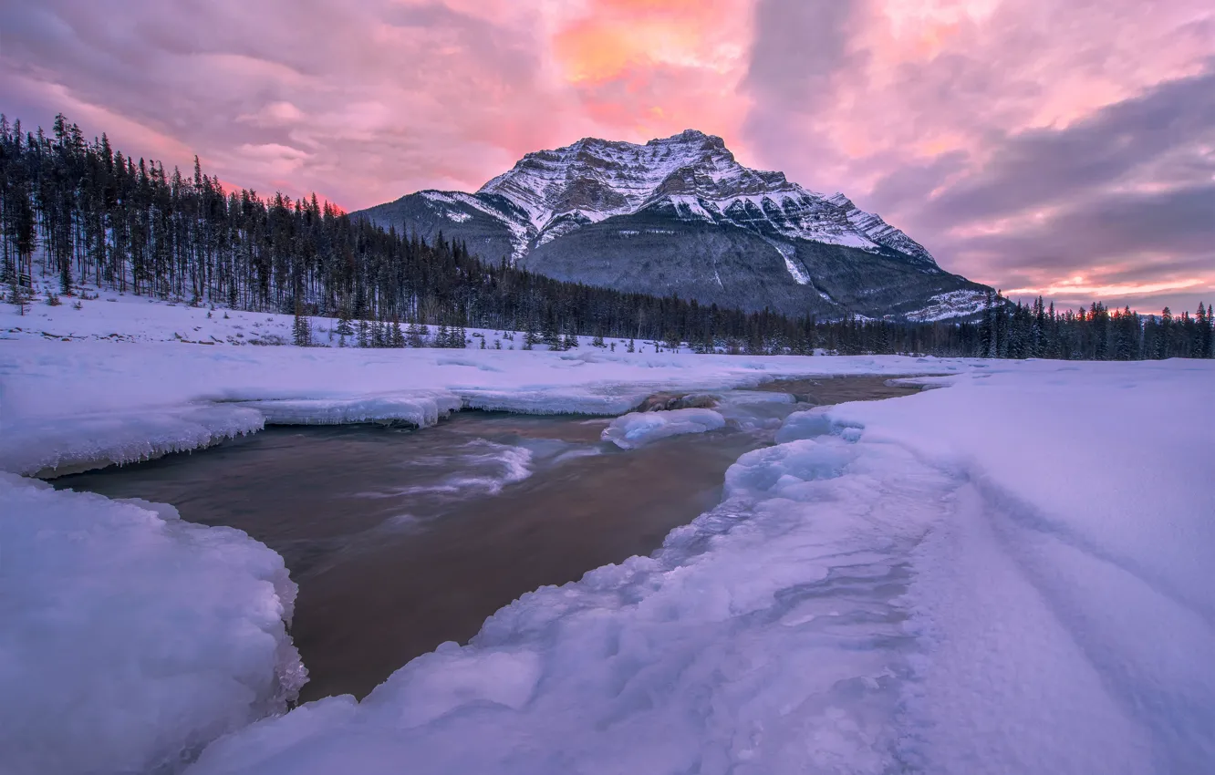 Photo wallpaper ice, clouds, snow, trees, mountains, river