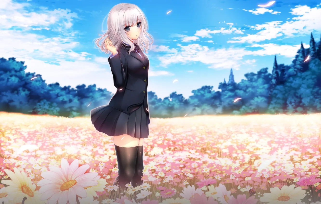 Photo wallpaper white hair, Katakura Nagisa, Shoujo Minority, girl, art, glade, anime, flowers