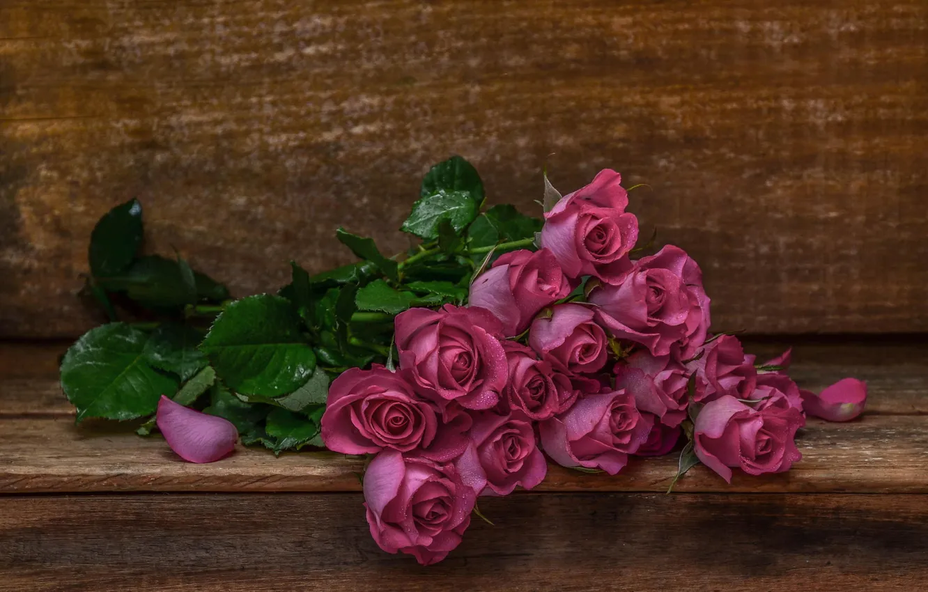 Photo wallpaper flowers, HDR, roses, bouquet, pink