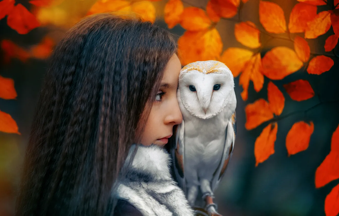 Photo wallpaper autumn, leaves, girl, owl, bird, brunette, profile, Janusz Żołnierczyk