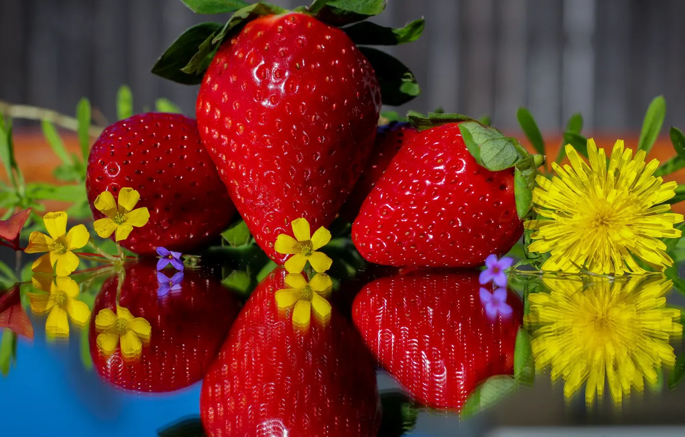 Photo wallpaper leaves, flowers, berries, dandelion, strawberry