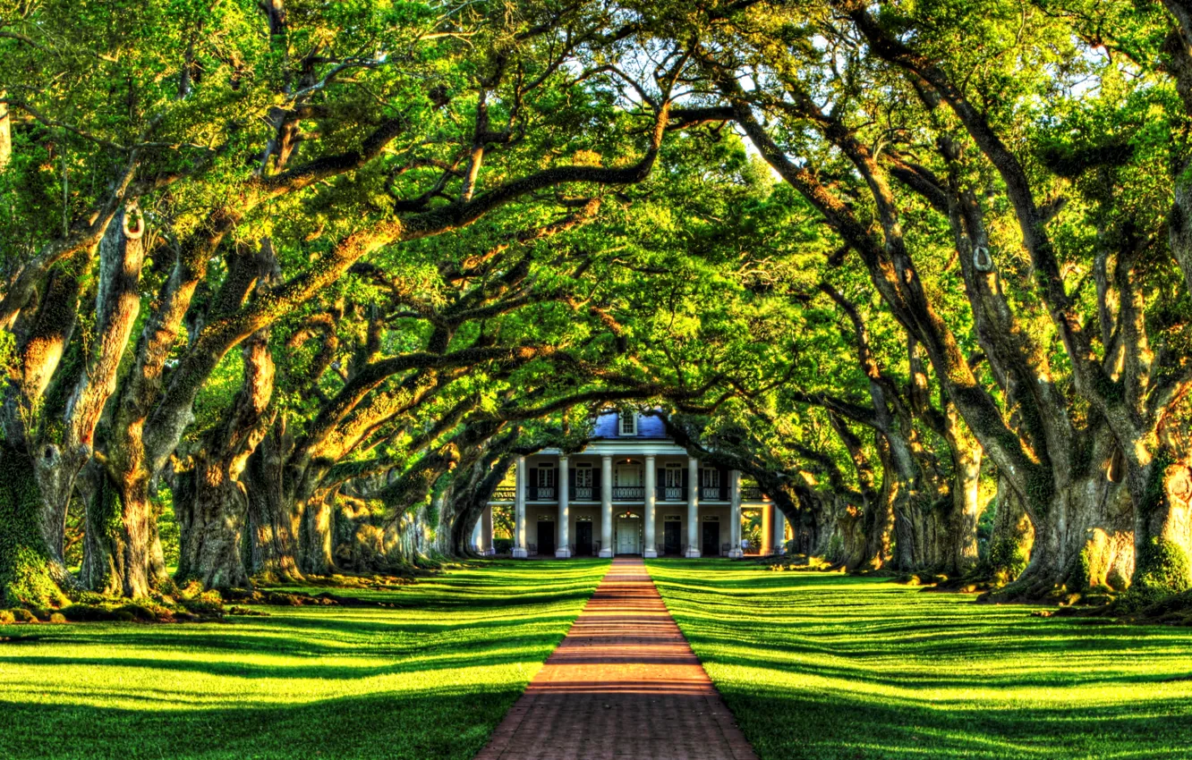 Photo wallpaper grass, leaves, trees, landscape, nature, green, Villa, alley