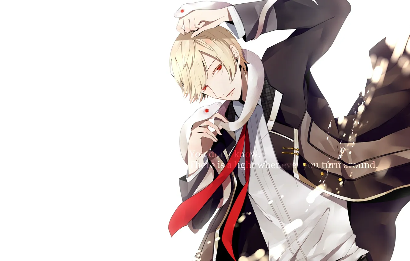 Photo wallpaper snake, guy, starry sky, Starry★Sky, visual novel, anime (2011)