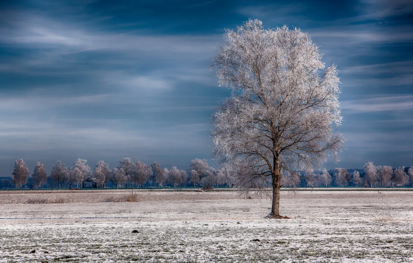 Photo wallpaper Germany, Bavaria, Wintertime, Winter landscape