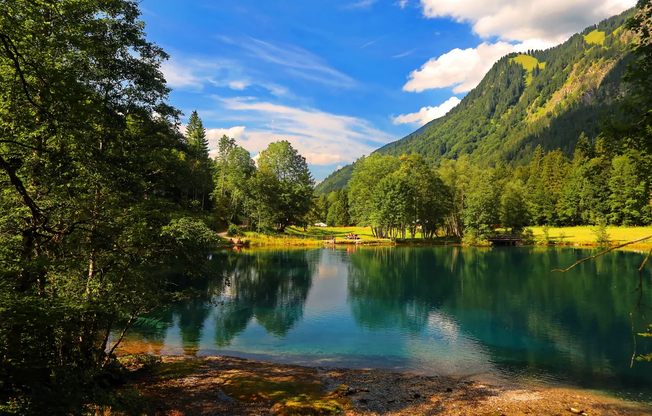 Photo wallpaper greens, forest, summer, the sky, the sun, clouds, trees, mountains