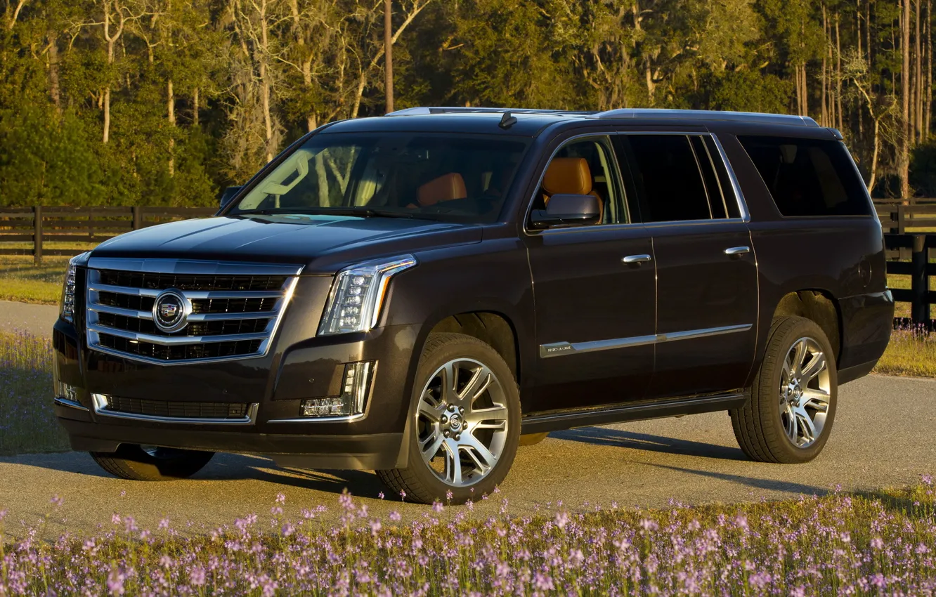 Photo wallpaper Cadillac, Escalade, '2014