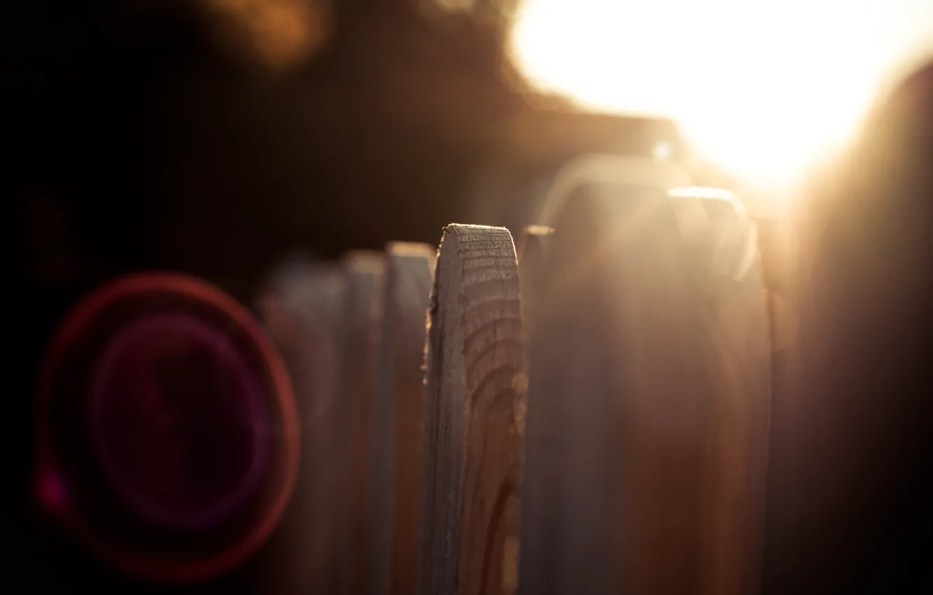 Photo wallpaper the sun, macro, rays, the fence, wooden