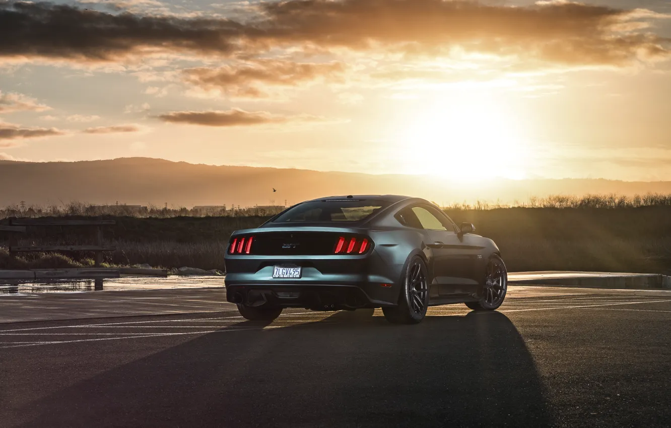Photo wallpaper Mustang, Ford, Muscle, Car, Sunset, Wheels, Rear, 2015