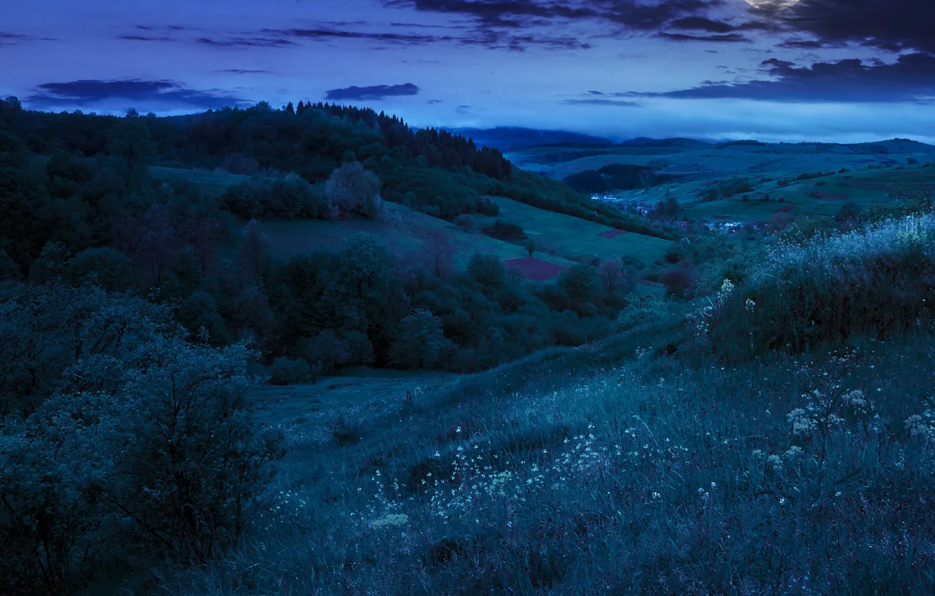 Photo wallpaper trees, night, nature, hills, the moon, trees, nature, night