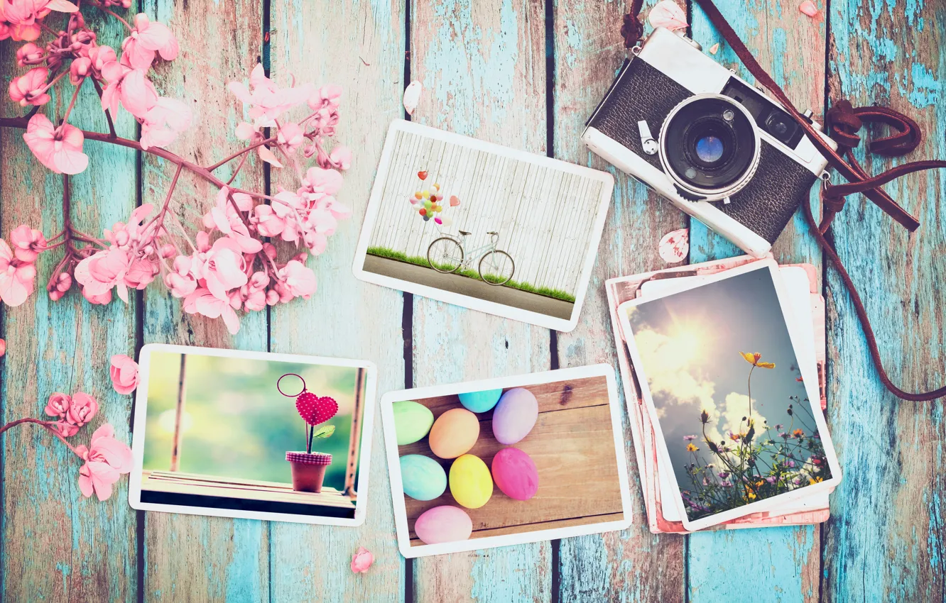 Photo wallpaper flowers, photo, eggs, spring, camera, colorful, Easter, wood