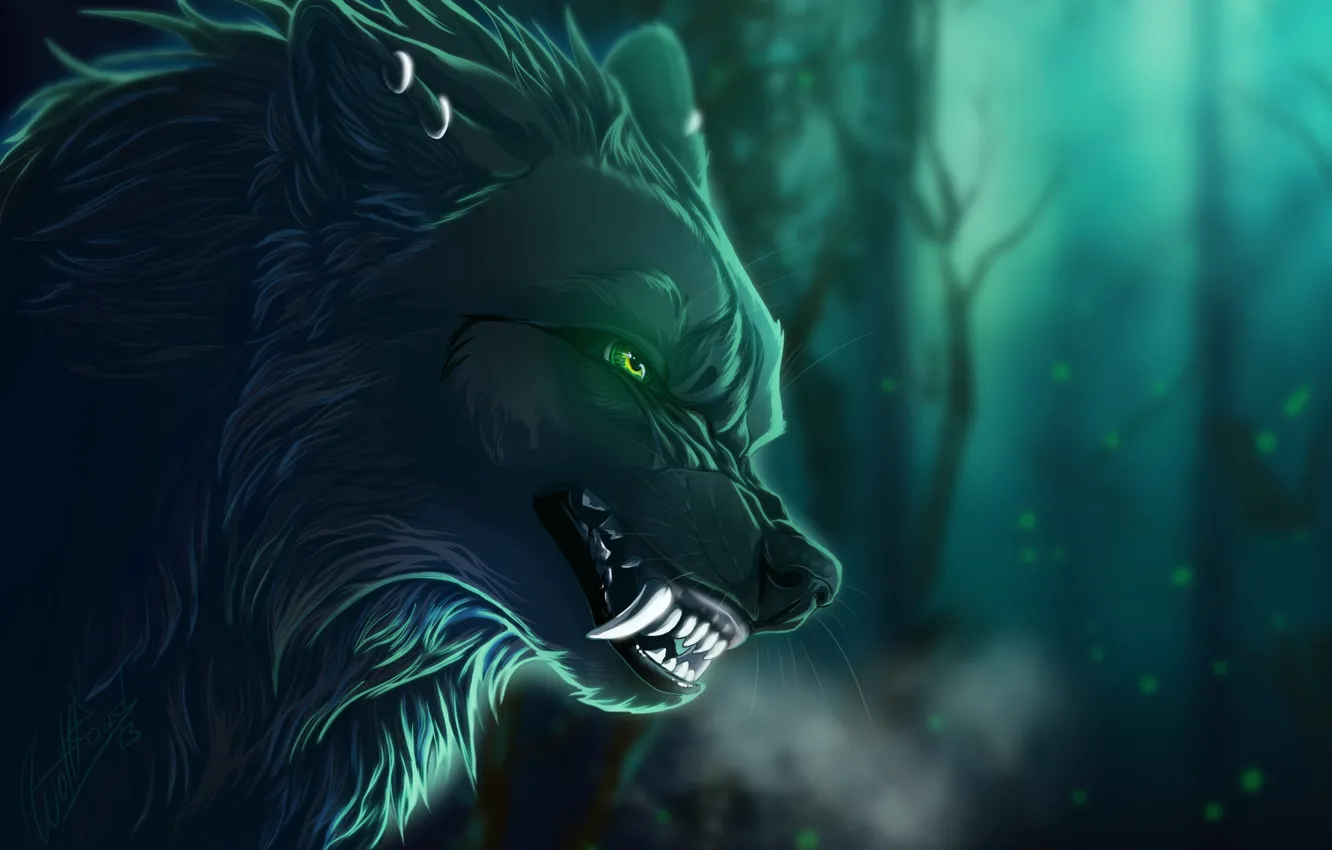 Photo wallpaper night, wolf, grin