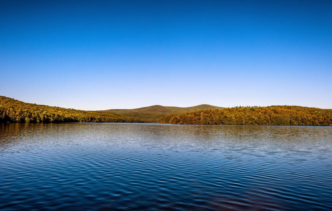 Photo wallpaper summer, landscape, nature, lake